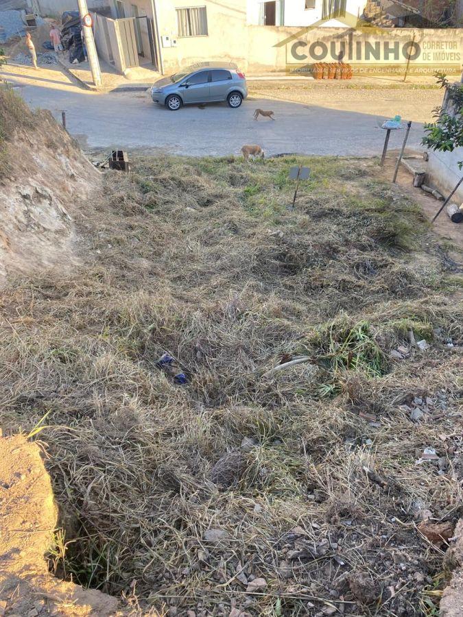 WhatsApp Image 2025-05-29 at 08.34.56.jpeg